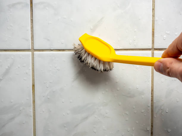 Best Mold Removal Specialists  in Cheviot, OH