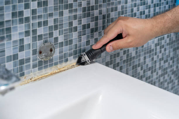 Best Fast Mold Removal  in Cheviot, OH