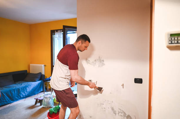 Best Home Mold Removal  in Cheviot, OH